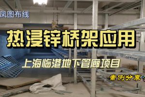 鳳圖布線熱浸鋅橋架應用-上海浦東臨港地下管廊項目